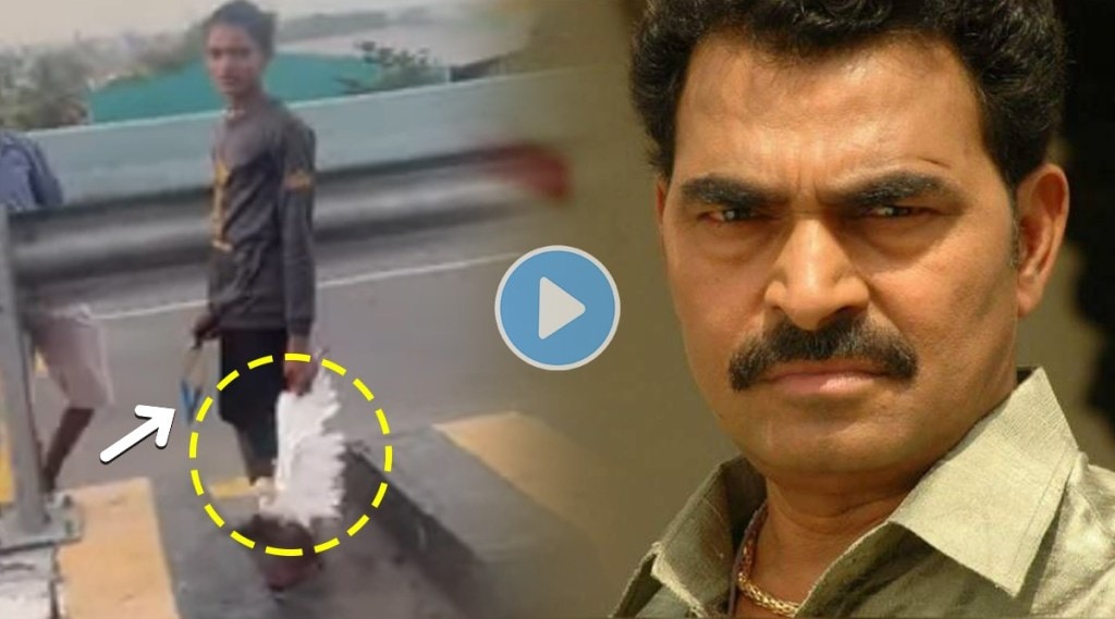 Sayaji Shinde Youths Killing Egret video