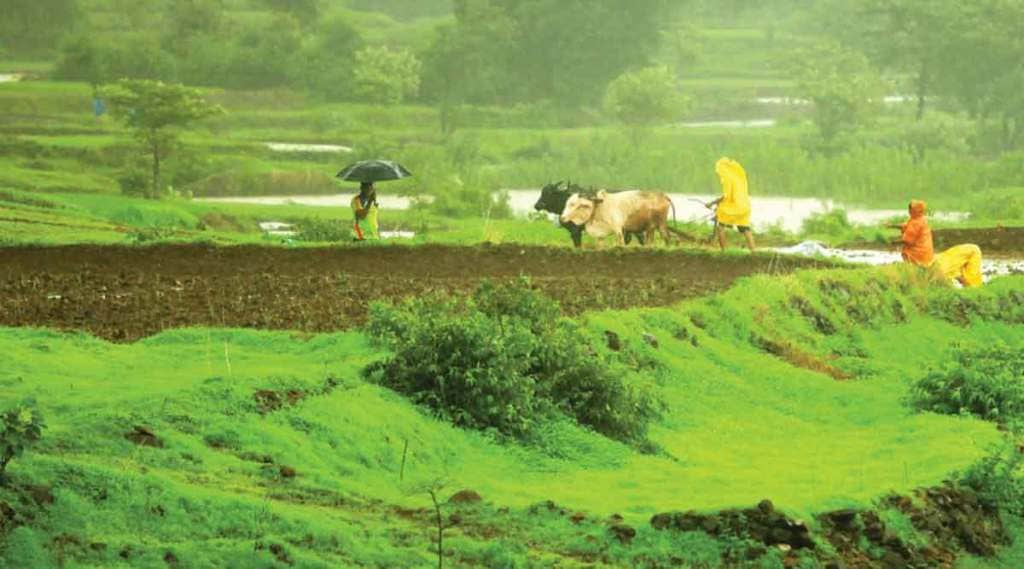 भारतामुळे अन्नधान्य महागाईवर नियंत्रण!