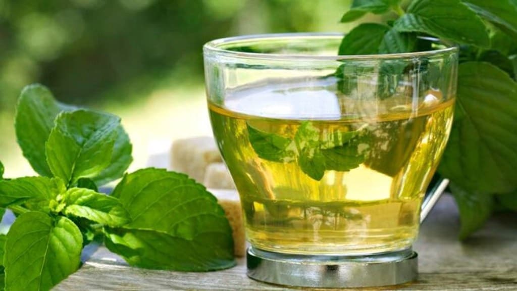 Tulsi tea