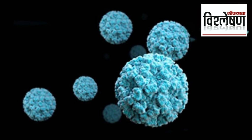 norovirus