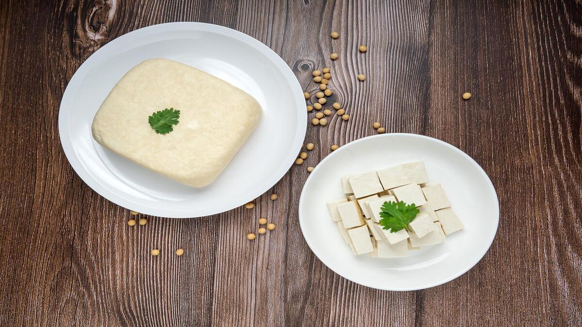 Paneer Vs Tofu पनीर आणि टोफूमध्ये काय आहे फरक Paneer Vs Tofu What