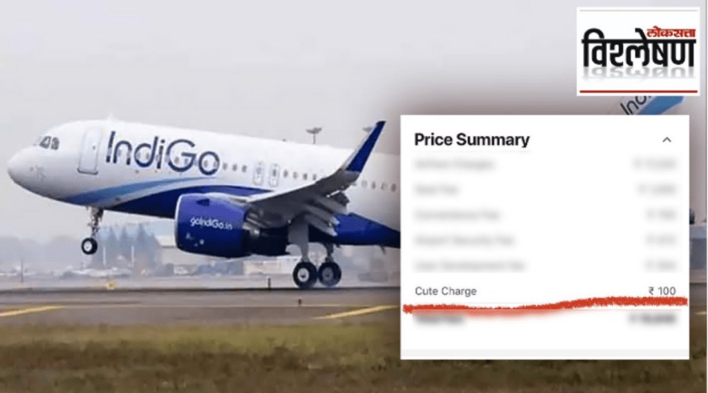 indigo airline