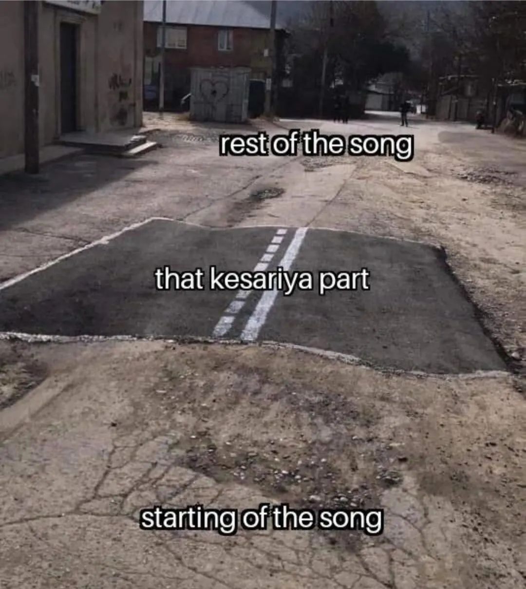 Kesariya Song memes 