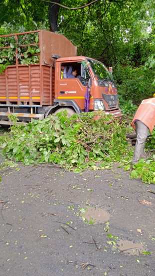 तसेच आंध्र प्रदेशमधील श्रीसिटी येथील कारखान्यातून मेट्रो गाडी मुंबईत आणण्यात येत आहे.