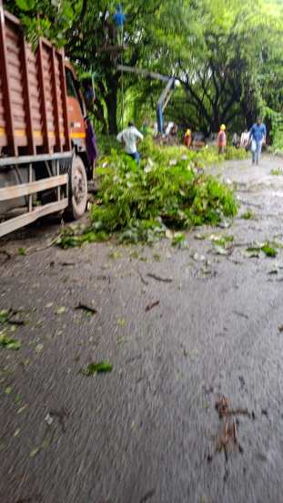 पण या कामामुळे ‘आरे वाचवा’ चळवळीतील आंदोलक कमालीचे संतप्त झाले आहेत.