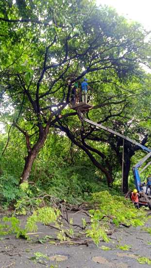 राज्य सरकारने ‘मेट्रो ३’ची कारशेड आरेमध्ये उभारण्याचा निर्णय घेतला असून यासाठी आरेतील कामावरील बंदीही उठविण्यात आली आहे.