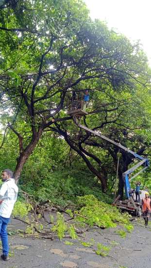 यानंतर मुंबई मेट्रो रेल कॉर्पोरेशनने (एमएमआरसी) ‘मेट्रो ३’च्या कामाला गती दिली आहे.