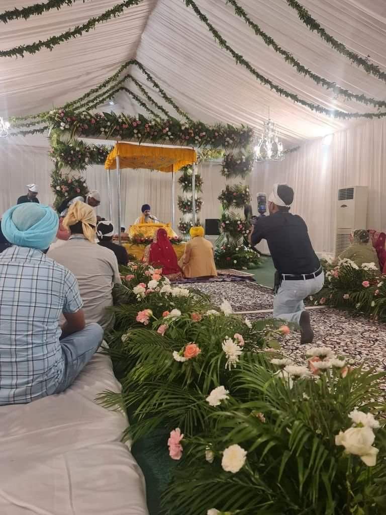 punjab cm bhagwant mann wedding photos