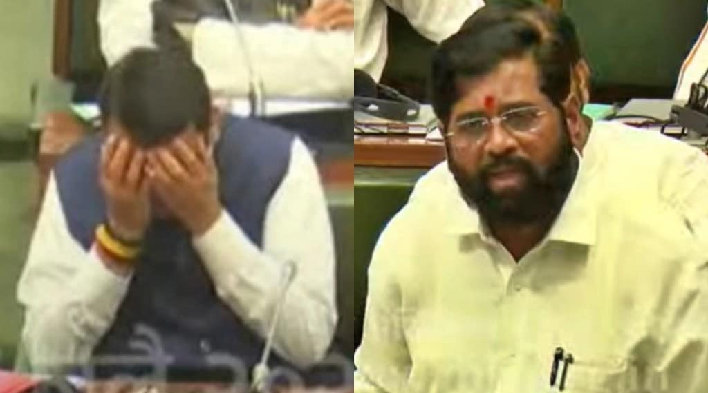 Eknath Shinde Devendra Fadnavis in Assembly