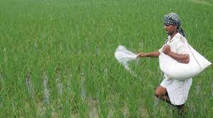 Kharif planting