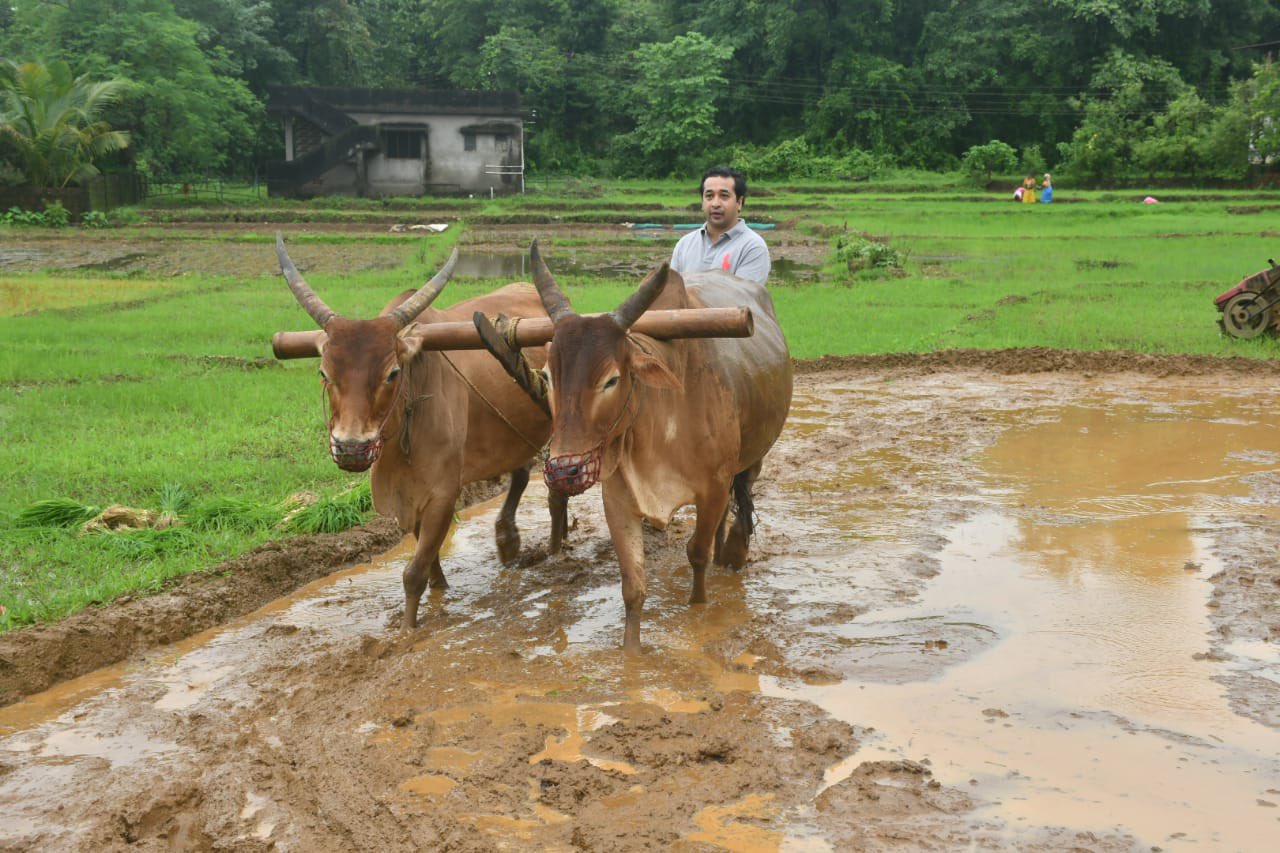 photos bjp leader nitesh rane farming at Kokan Farm