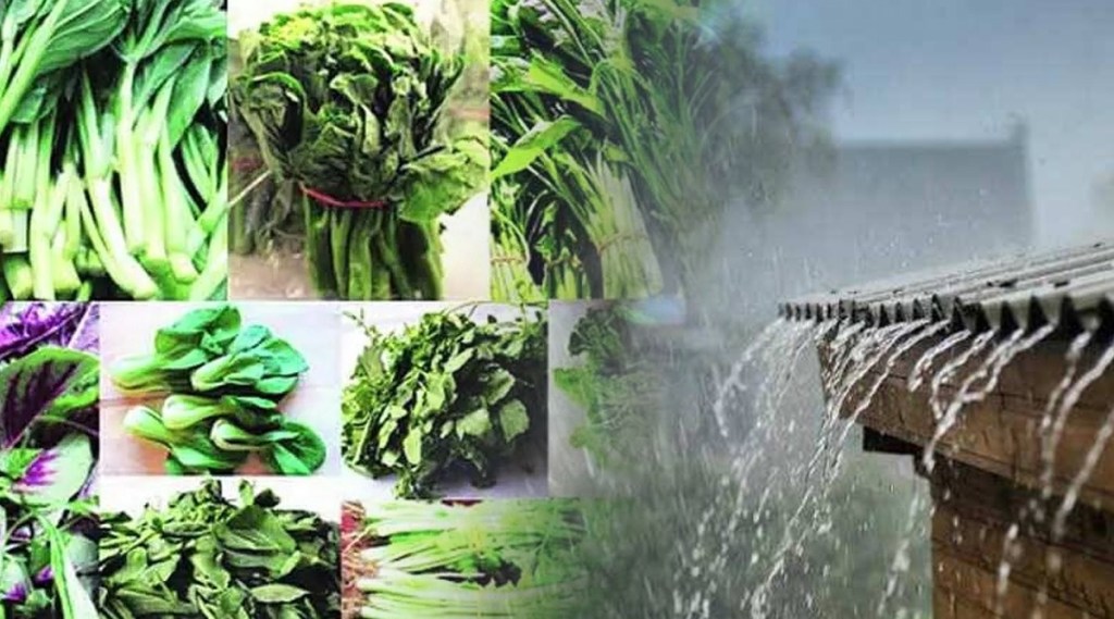 Eating 'these' green leafy vegetables during monsoons can be harmful to health