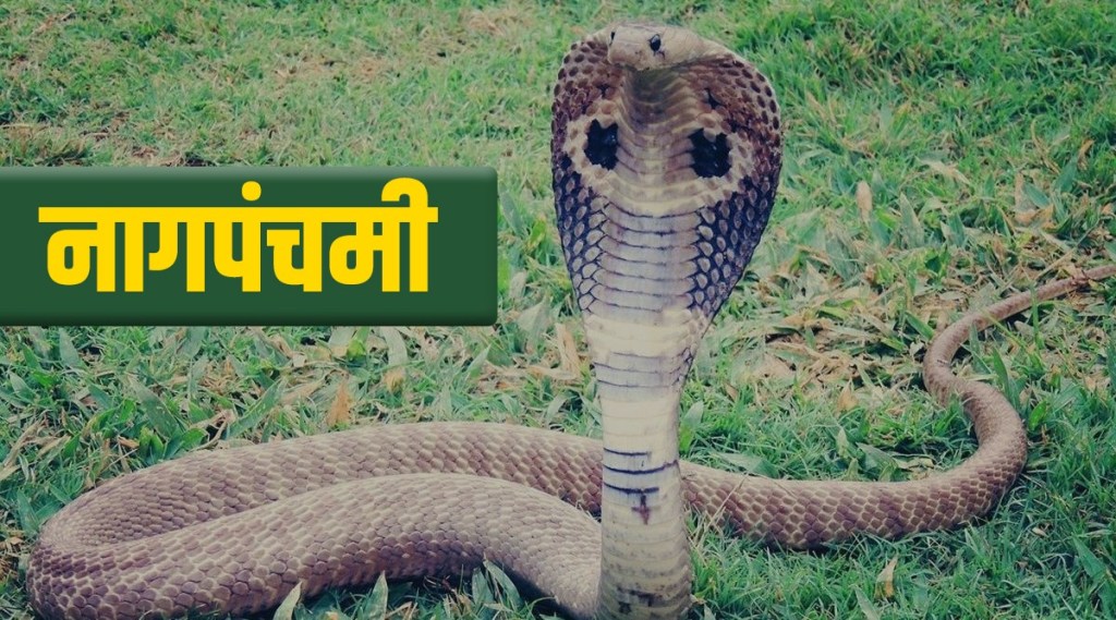 Nag Panchami 2022