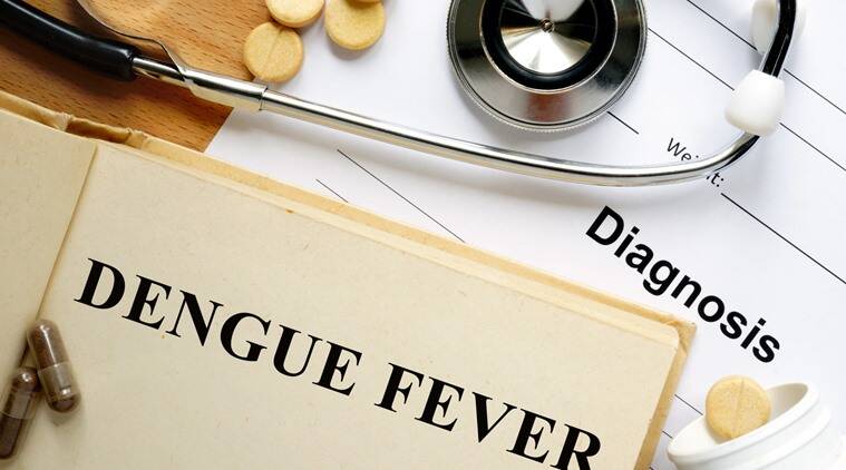 These things will be beneficial in increasing platelets in dengue