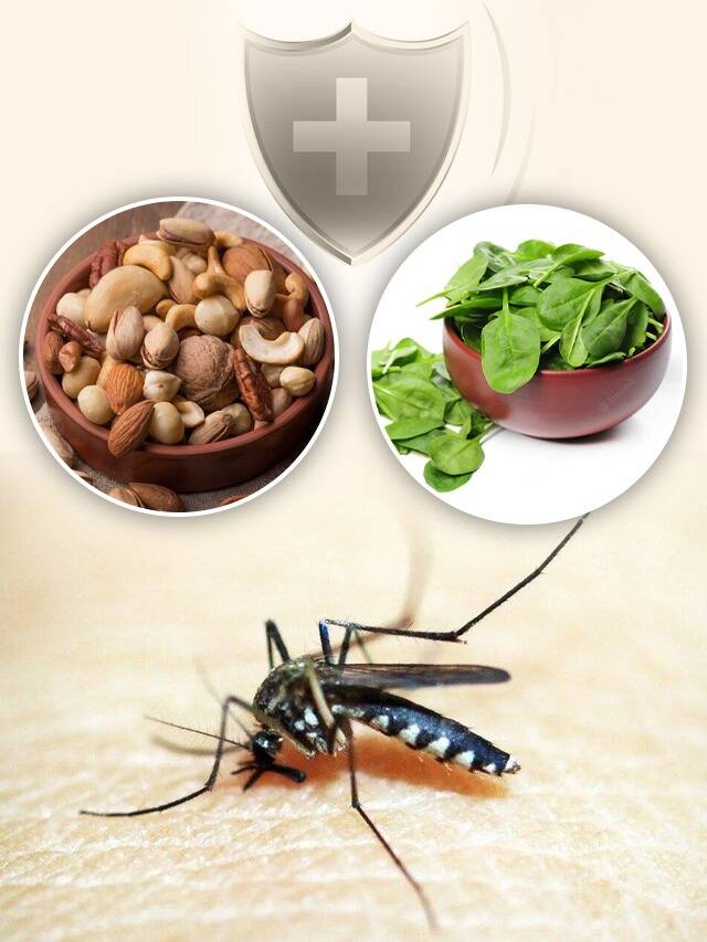 These things will be beneficial in increasing platelets in dengue