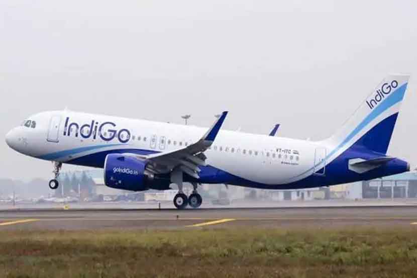 indigo