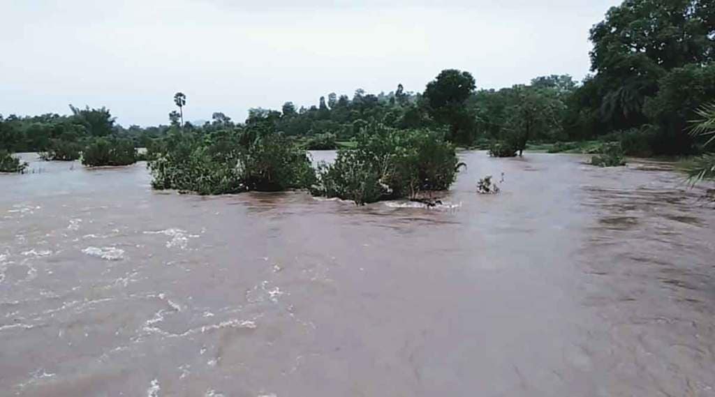 rain in palghar