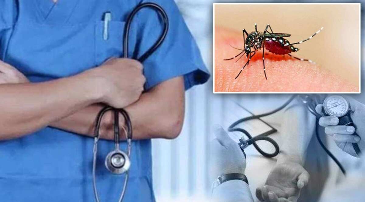 These things will be beneficial in increasing platelets in dengue