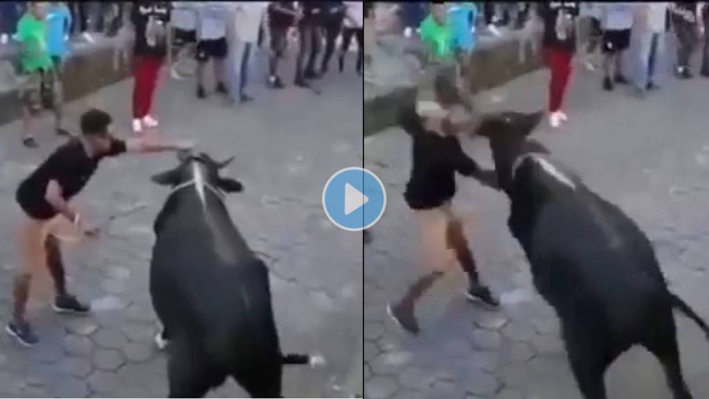 Bull-Attack-Viral-Video