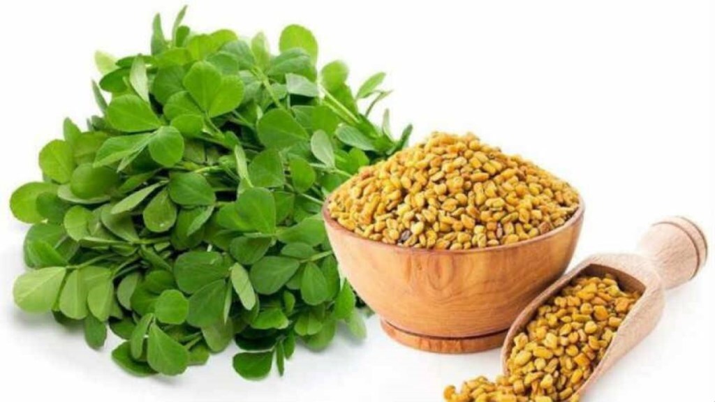 fenugreek seeds side effects