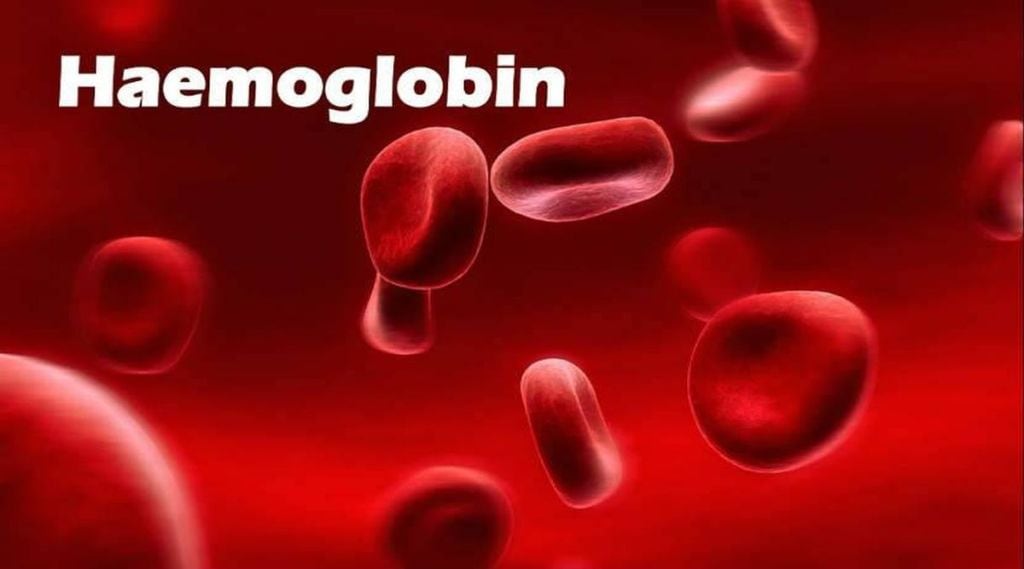 hemoglobin