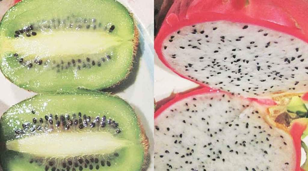 cultivation of exotic fruits in india