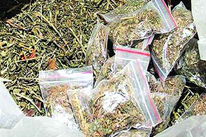 Cannabis worth 26 lakh seized by police near Karanja Ghadge