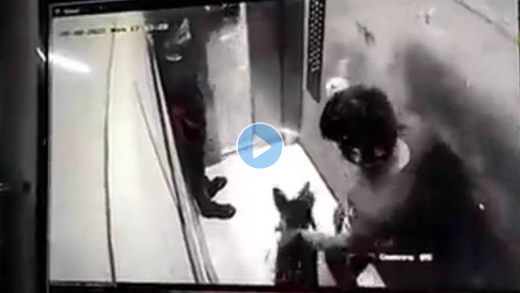 Pet-Dog-Attack-In-Lift