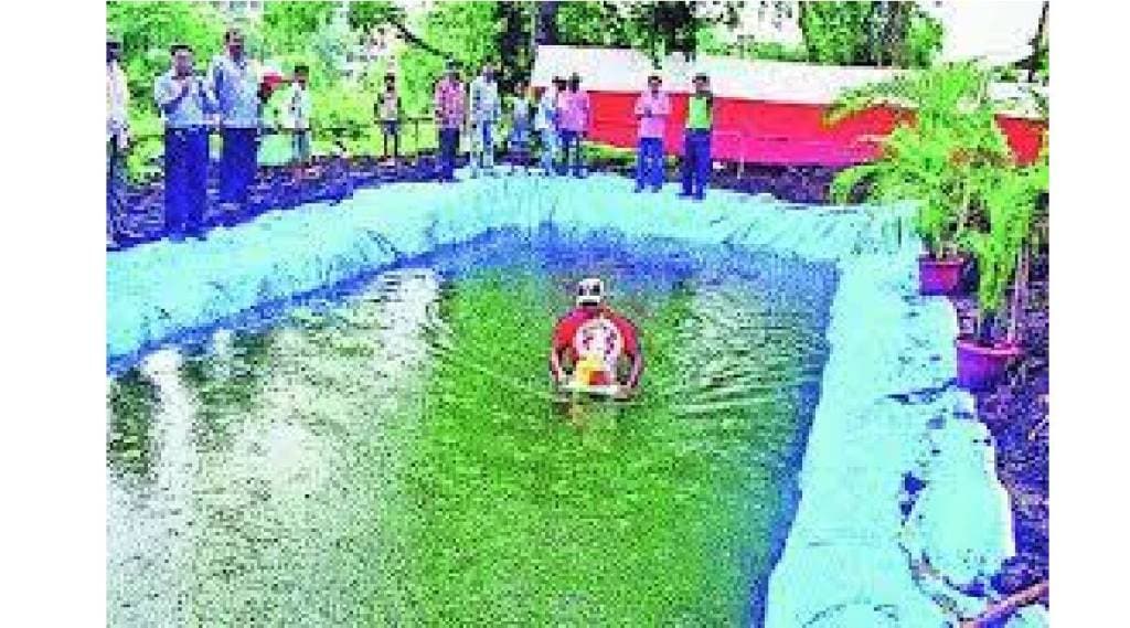 Immersion of Ganesha in an artificial tank