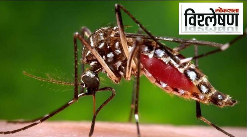 Reasons of Mosquito Bite