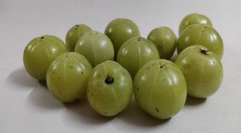 amla benefits