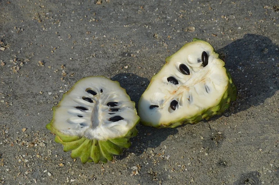 custard apple