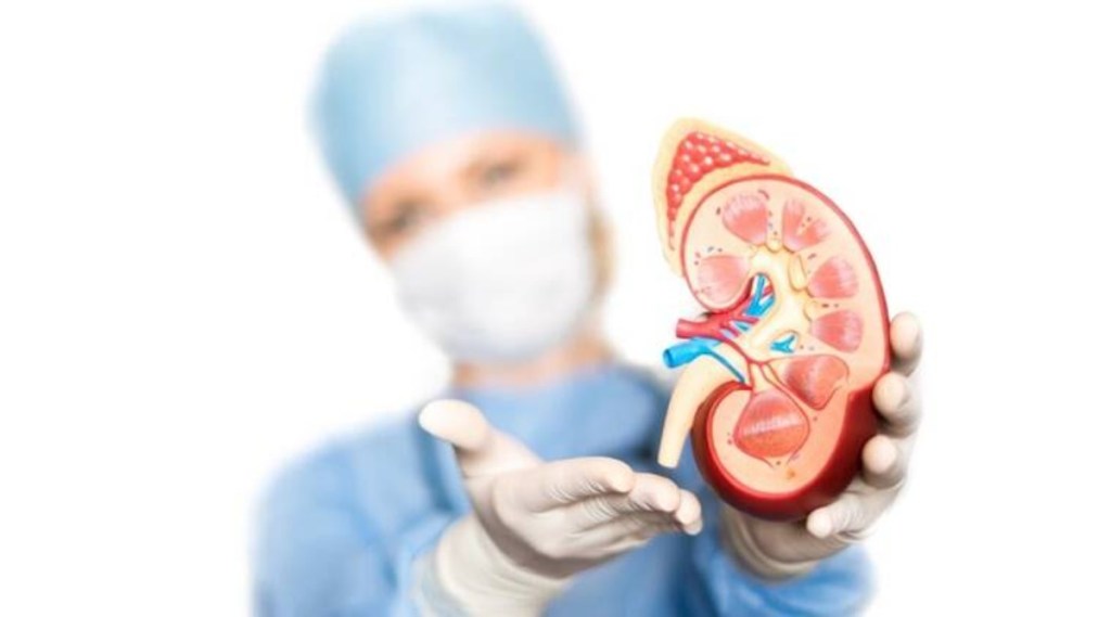 Kidney Damage Symptoms