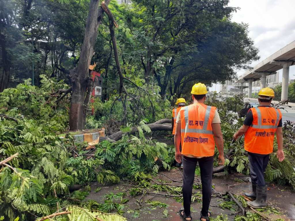 tree collaspe in hous at khopat in thane