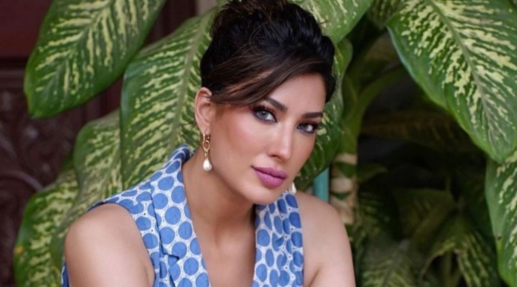 Pakistani actress mehwish hayat, mehwish hayat, pakistan floods, mehwish hayat tweet, पाकिस्तान पूर, मेहविश हयात, बॉलिवूड कलाकार, मेहविश हयात ट्वीट, पाकिस्तानी अभिनेत्री