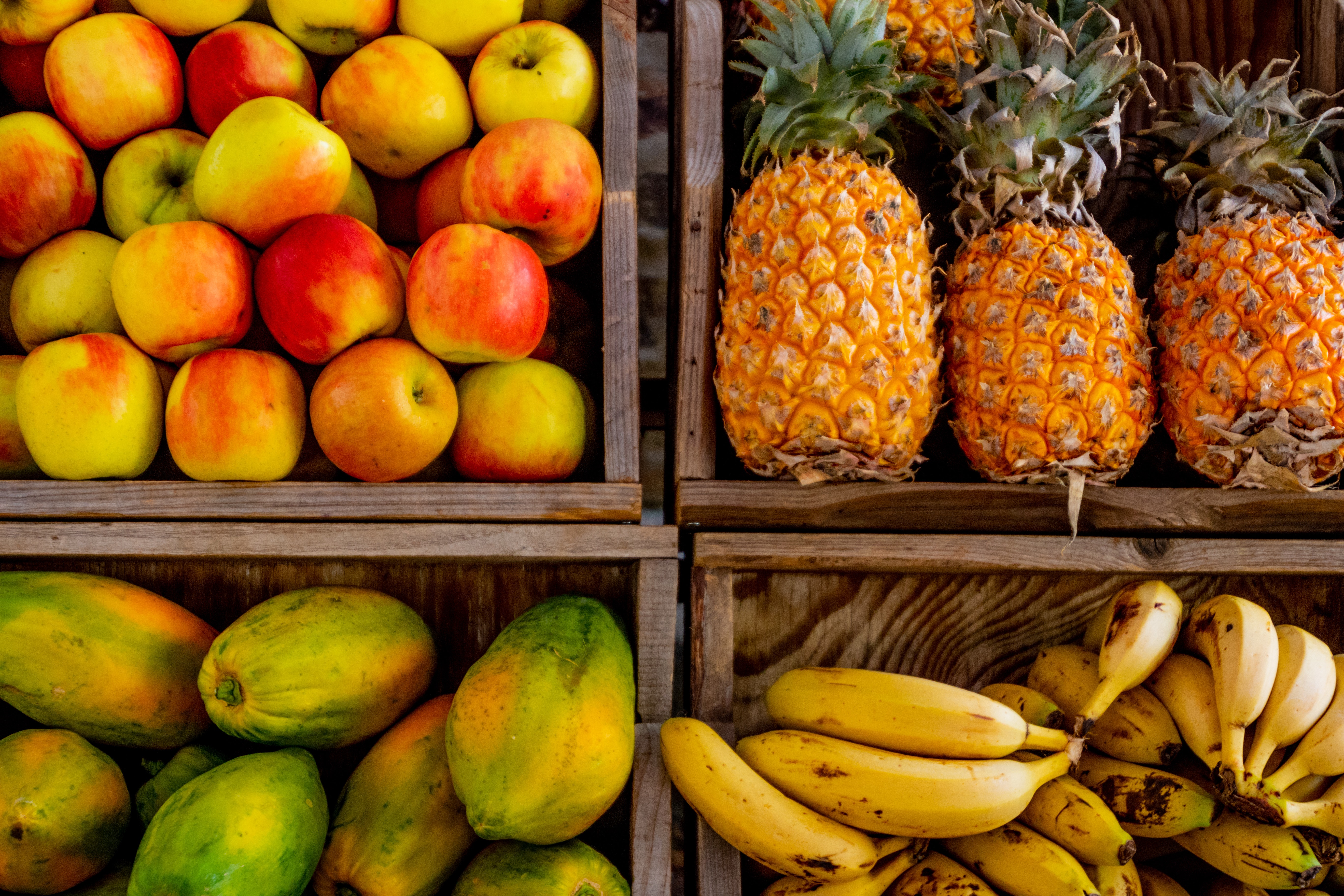 Fruits In October