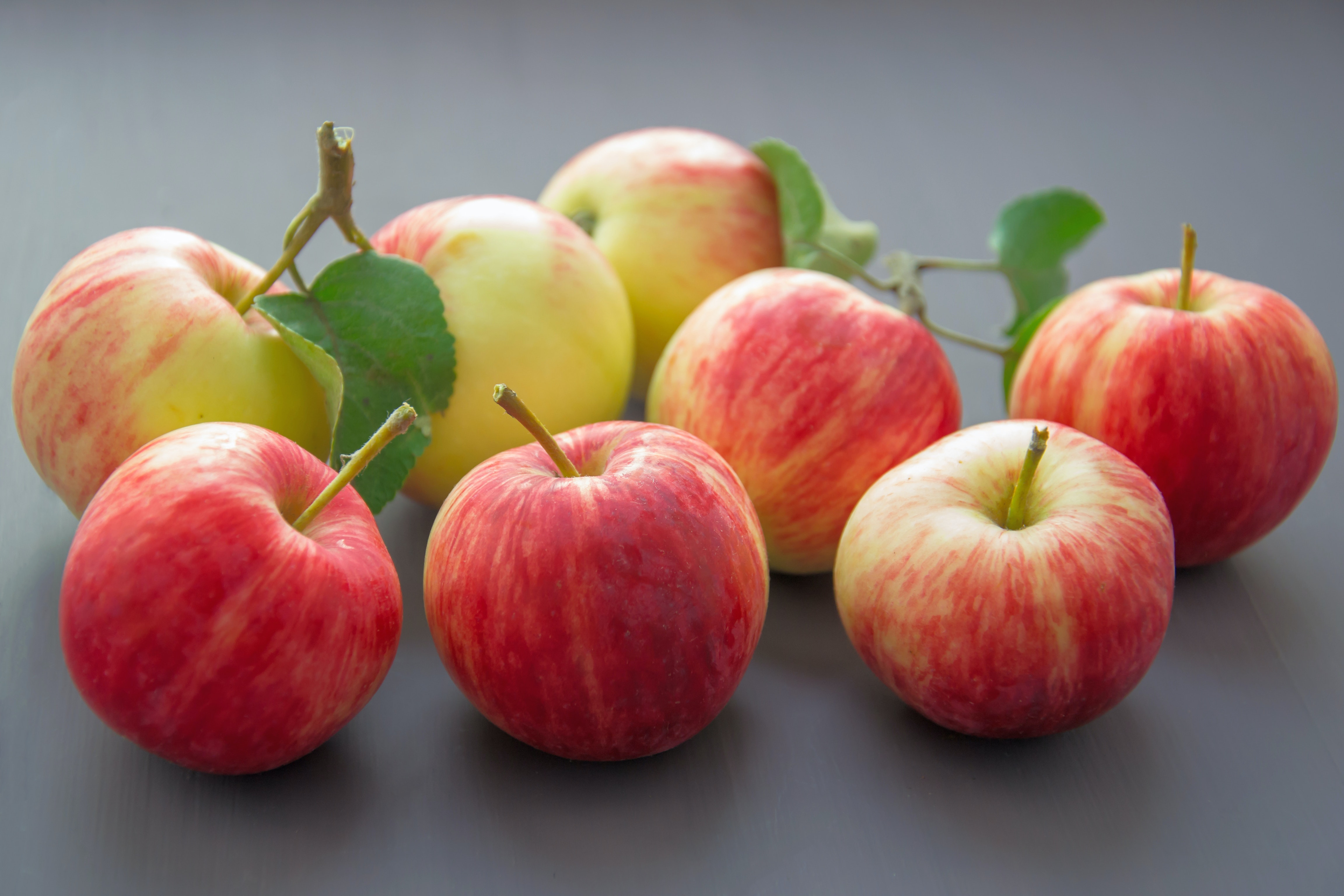 Fruits In October