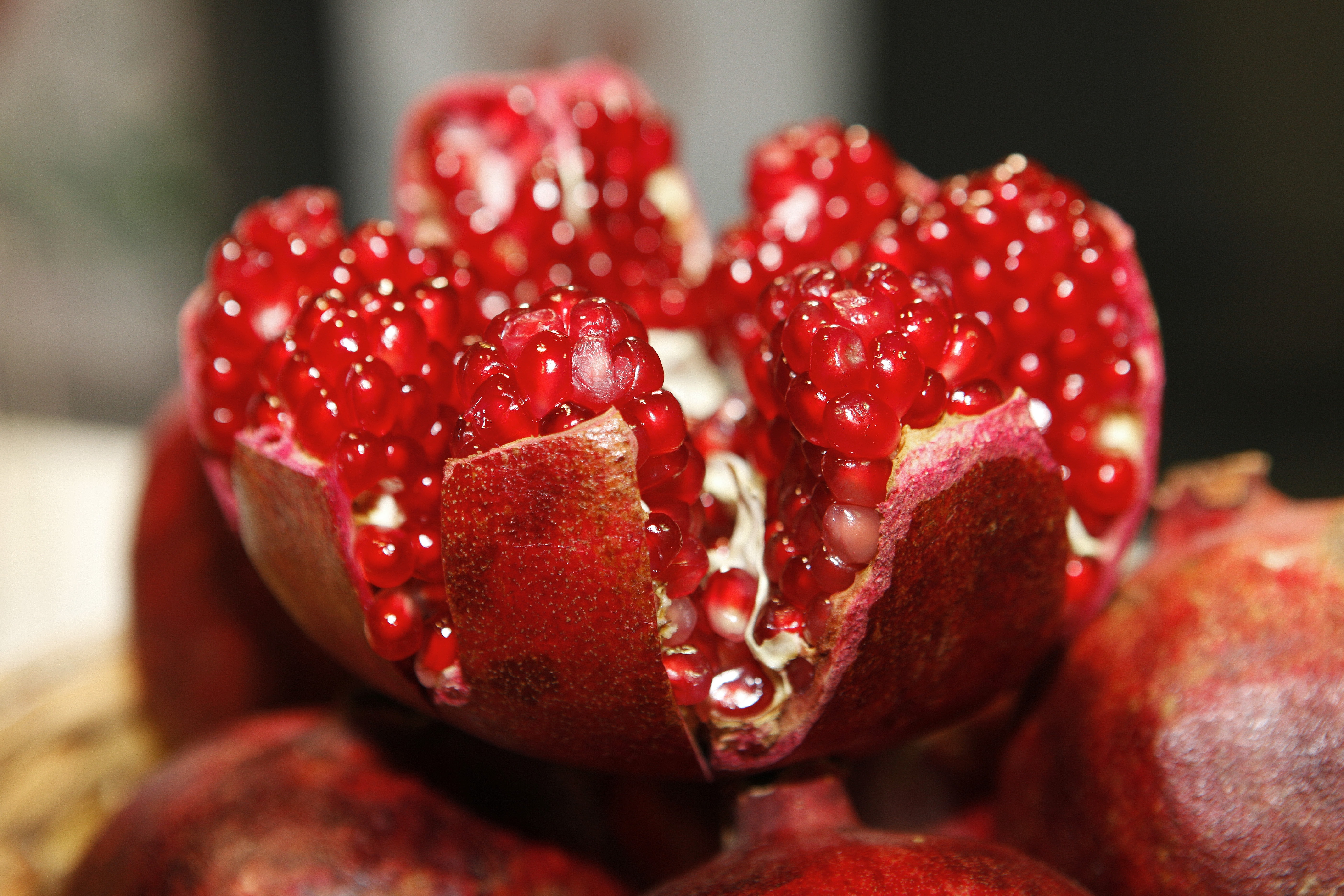 Fruits In October