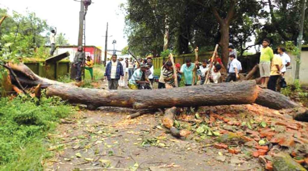 यंदा फांद्या पडण्याच्या दुर्घटनांमध्ये वाढ झाली आहे.