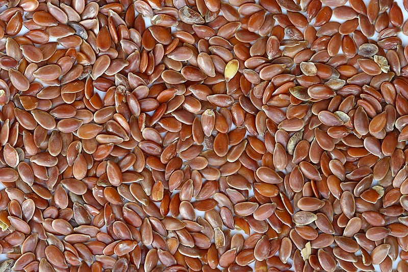 seeds