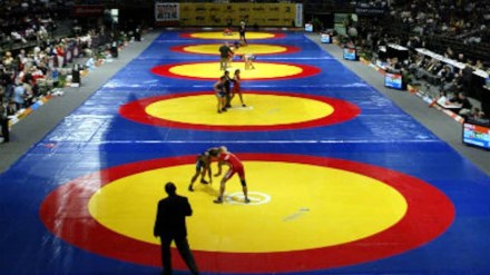 Wrestling Championships In Pontevedra