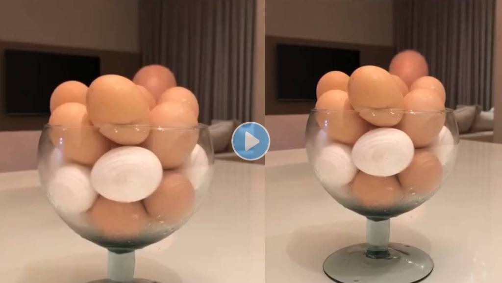 Egg-Video-Viral