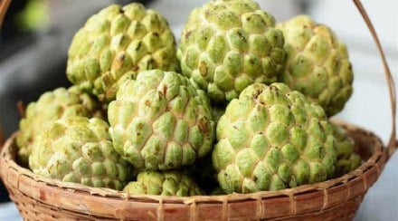 Custard apple benefits