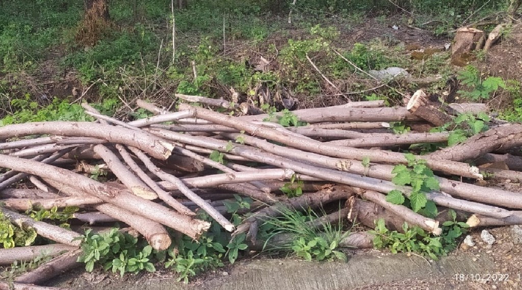 To celebrate the Indian Science Congress ceremony the trees in the university premises are being slaughtered on a large scale