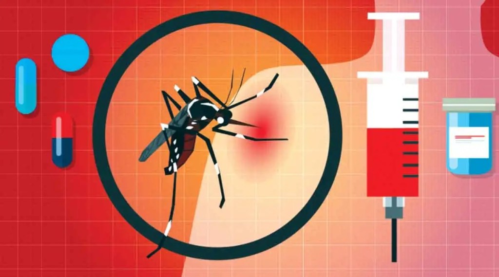 DENGUE FEVER symptoms treatment