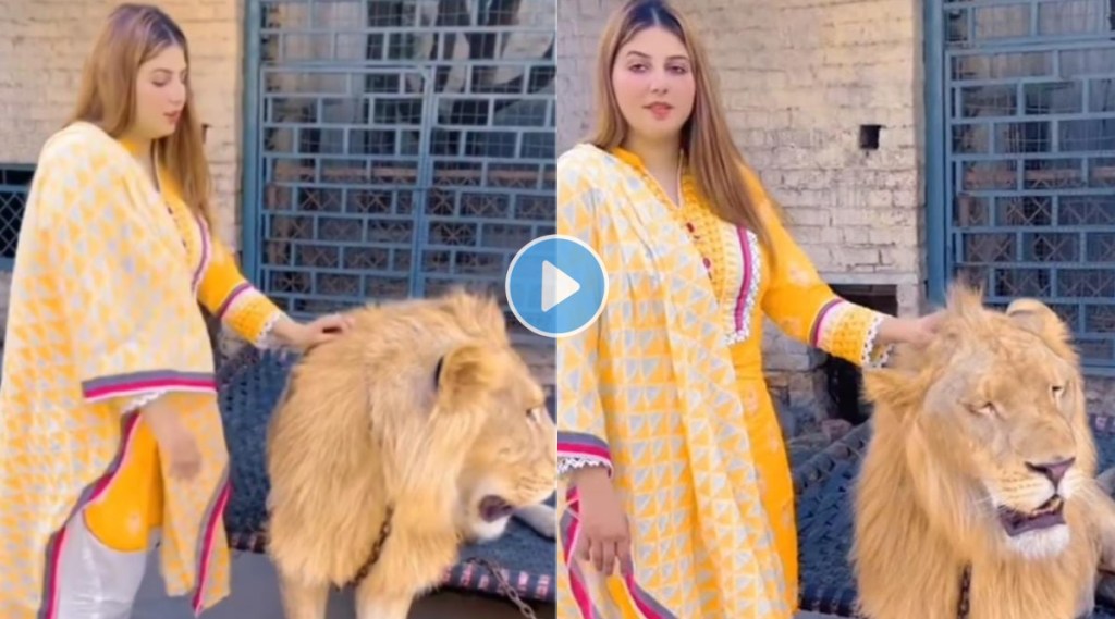 Women pets lion netizens reacted angrily on viral video