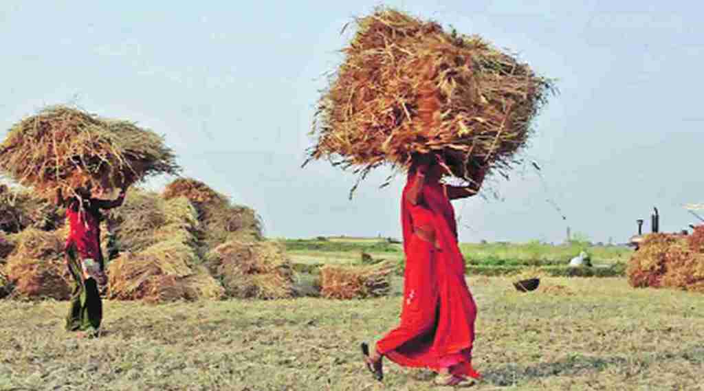 Increase in farmer suicides in Amravati division