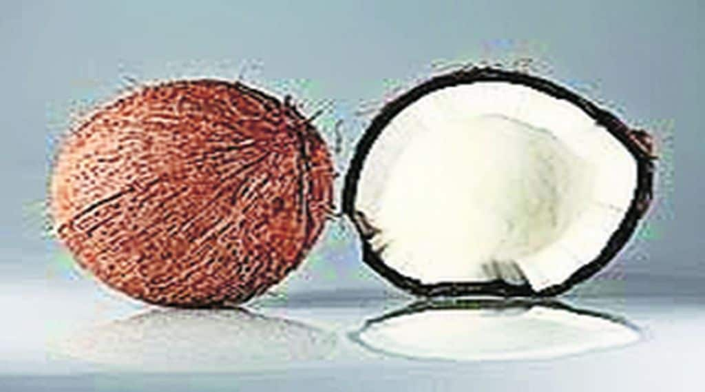 bhashsutra coconut