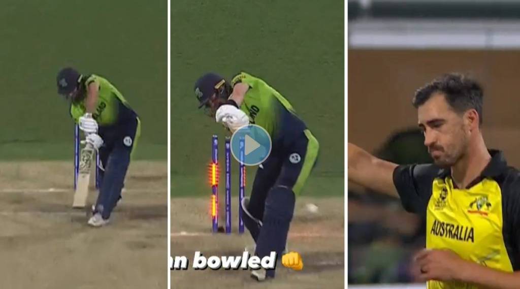 mitchell starc bowled campher and dockrell watch video aus vs ire t20 world cup