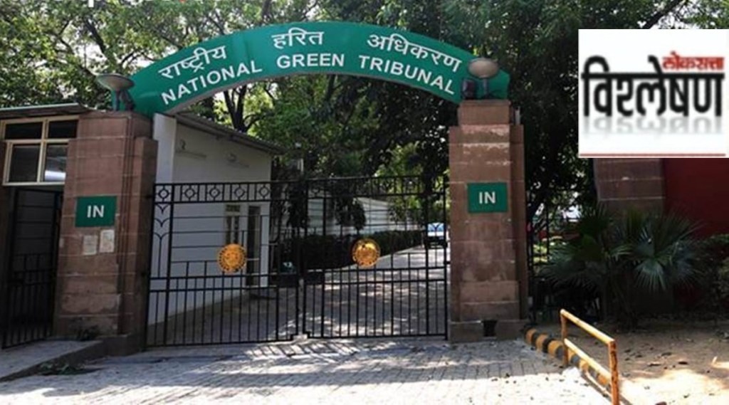 green tribunal